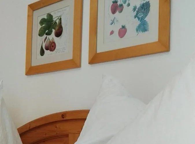 梅尔公寓 公寓 *